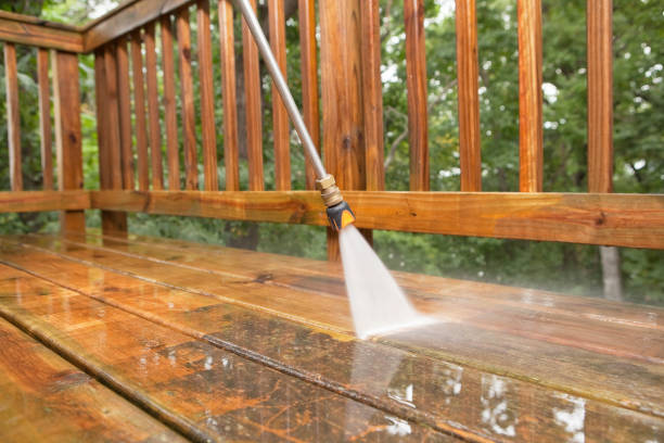 Best Animal Enclosure Cleaning  in Hallandale Beach, FL